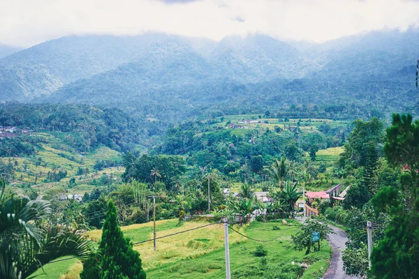 Beautiful view of green valley, rice fields and mountains. Bali Indonesia.