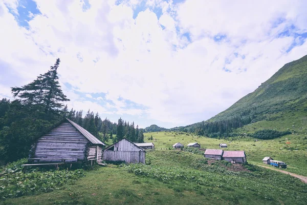 Summer Carpathian Mountains Beautiful Landscape Green Valley Wooden Houses — Stock Photo, Image