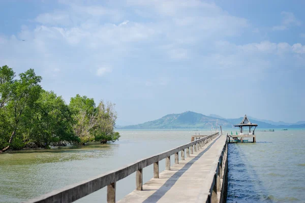 Hermosa Vista Del Antiguo Muelle Orilla Del Mar — Foto de Stock