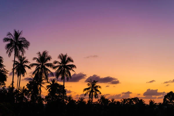 Όμορφη Θέα Του Ηλιοβασιλέματος Τροπικό Silhoette Των Φοινίκων — Φωτογραφία Αρχείου
