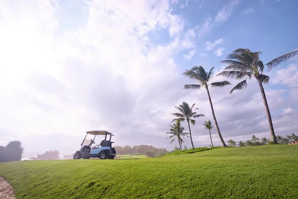 Golf Hely Gyönyörű Zöld Palm Tree Kék Kilátással Óceánra — Stock Fotó