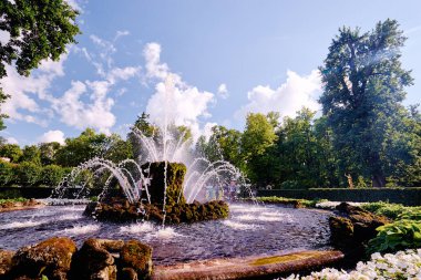 Peterhof Çeşme Bahçe. Saint Petersburg, Rusya. 2 Ağustos 2016.