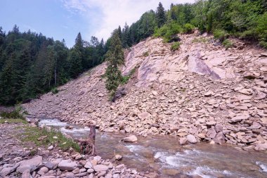 Güzel yaz manzara nehir ve yeşil dağ.