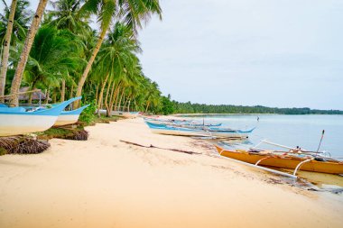 Balıkçı tekneleri ile tropikal beyaz kum plajı güzel manzaralı. Siargao Adası, Filipinler.