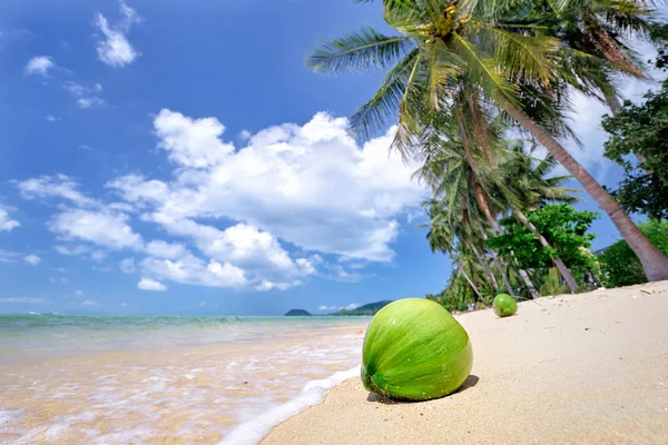 Green Coconut White Sand Beach Palms — Stock Photo, Image
