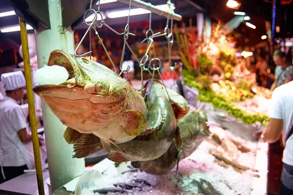 Зменшеному Вигляді Великий Monster Риби Льоду Вулиці Тайська Нічного Ринку — стокове фото