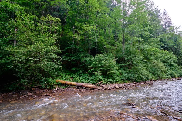 Beautiful Summer Landscape River Green Mountains — Stock Photo, Image