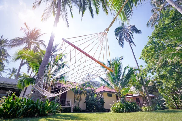 Rope hammock under palm trees.