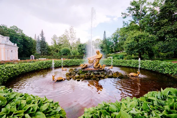 Schöner Brunnen Garten Des Peterhofs Petersburg Russland August 2016 — Stockfoto