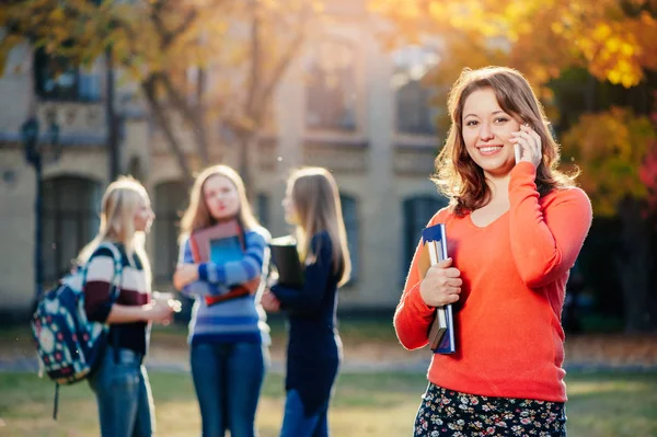 Hermosa Mujer Joven Hablando Teléfono Móvil Sonriendo Mientras Está Pie — Foto de Stock