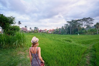 Genç kadının yeşil pirinç alan plantasyon görünümünü.