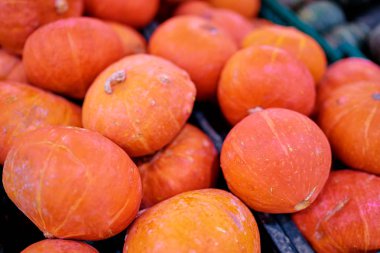 Süpermarkette birkaç renkli kabaklar yakından görmek.