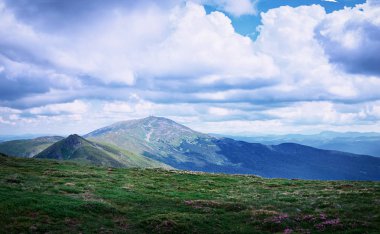 Güzel manzara dağlar peyzaj yeşil çayır ile. Karpatlar, Ukrayna.