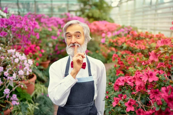 在满是鲜花的温室里手持手指的高级大胡子男子 — 图库照片