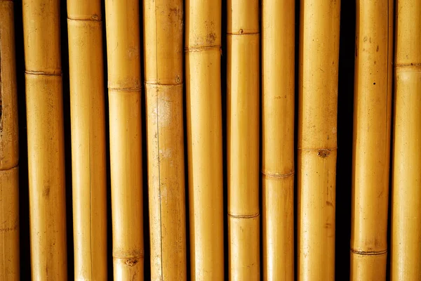 Närbild Yellow Bamboo Texturerat Bakgrund — Stockfoto