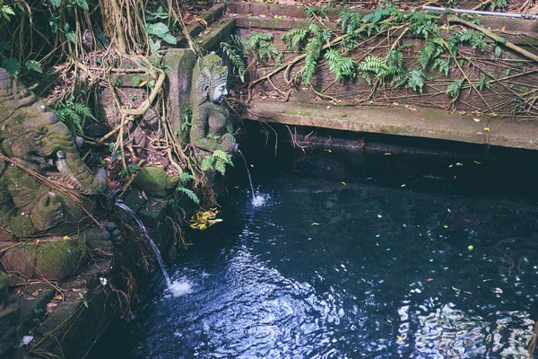 Balinés Esculturas Apedreadas Ganesha Dios Cerca Piscina Selva —  Fotos de Stock