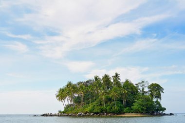 Avuç içi okyanus güzel bir küçük tropik uzak ada manzarası kaplı