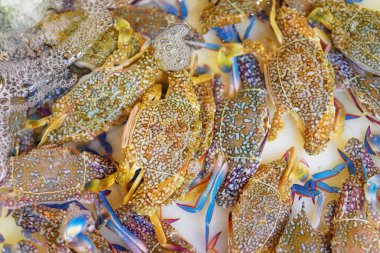 Ham yengeçler yakın çekim görünümünü piyasada.