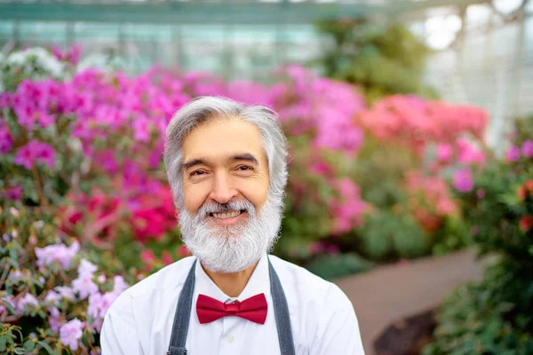 Homem Barbudo Sênior Estufa Cheio Flores — Fotografia de Stock