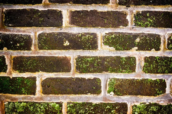 Close View Mossy Brick Wall Textured Background — Stock Photo, Image