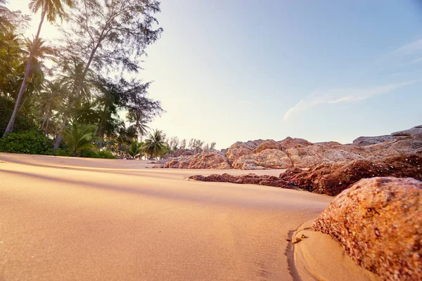 Dia Ensolarado Praia Tropical Com Coqueiros — Fotografia de Stock