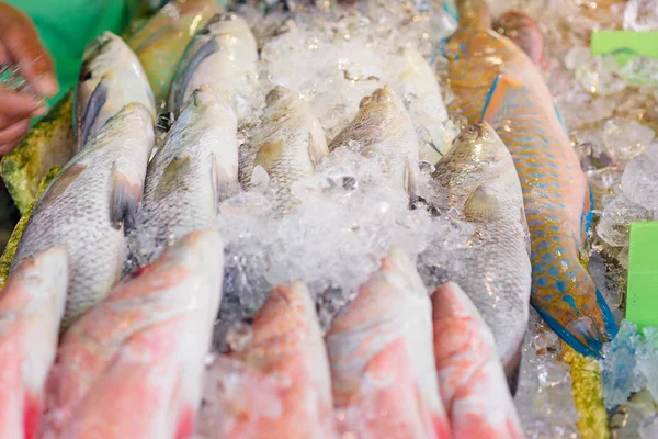 Close-up view of of raw fish on the market.