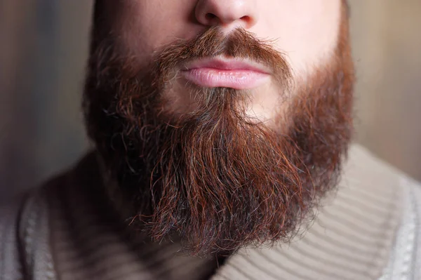 Lambersexual Perfect Beard Close Young Bearded Man — Stock Photo, Image