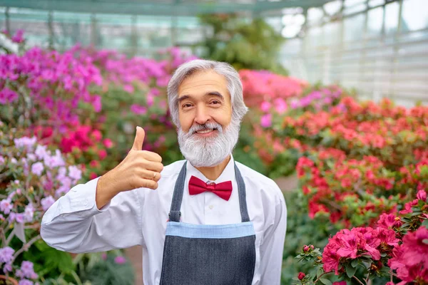 Hombre Barbudo Mayor Mostrando Pulgar Invernadero Lleno Flores — Foto de Stock