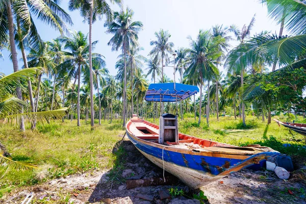 Playa Del Océano Con Palmeras Barco Pesquero Tradicional Cola Larga —  Fotos de Stock