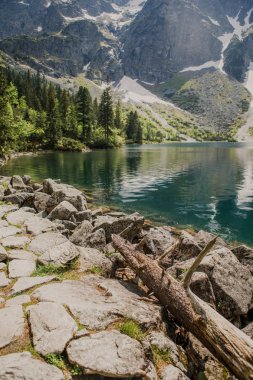 Göl ile çam ve dağlar ve günlük doğal görünüm ön plan üzerinde