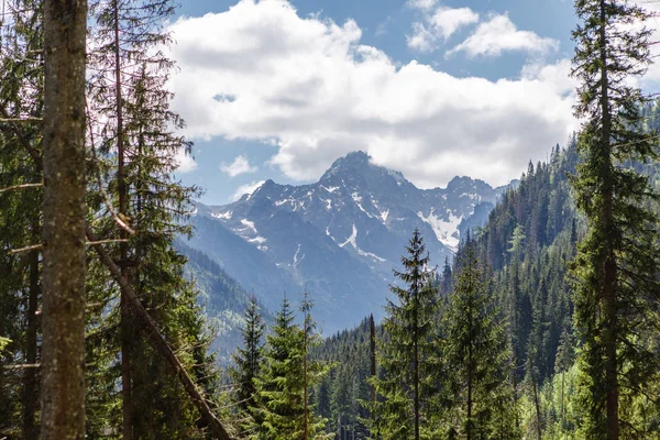 Polonya Tatra Dağları'nın nefes kesici manzara