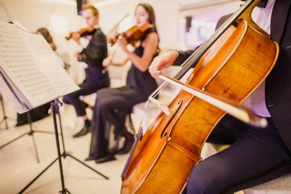 Magnifique Instrument Classique Violoncelle — Photo