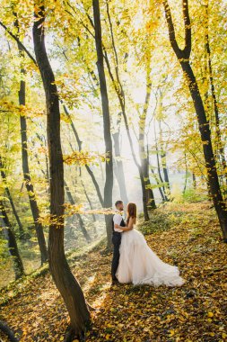 gelin ve damat sonbahar parkında