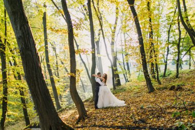 gelin ve damat sonbahar parkında