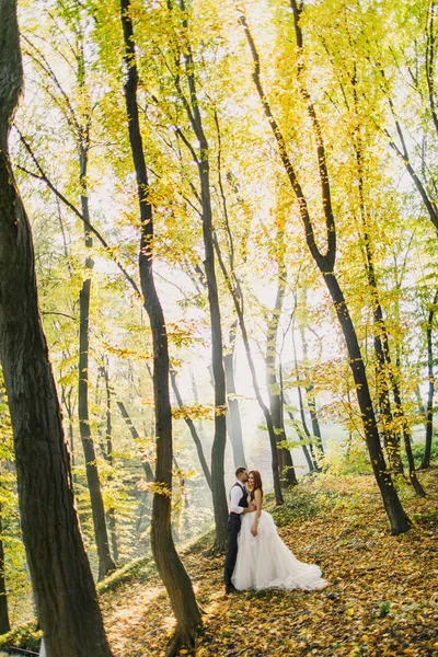 Sonbahar parkında bir çift evleniyor.