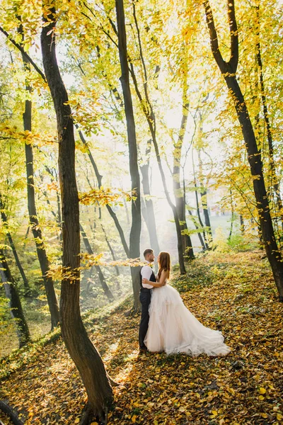 gelin ve damat sonbahar parkında