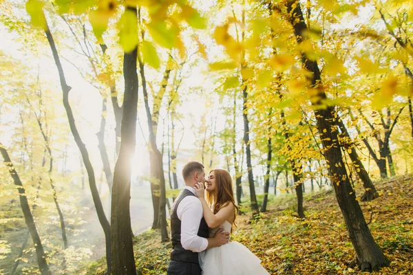 Braut Und Bräutigam Hochzeitstag — Stockfoto