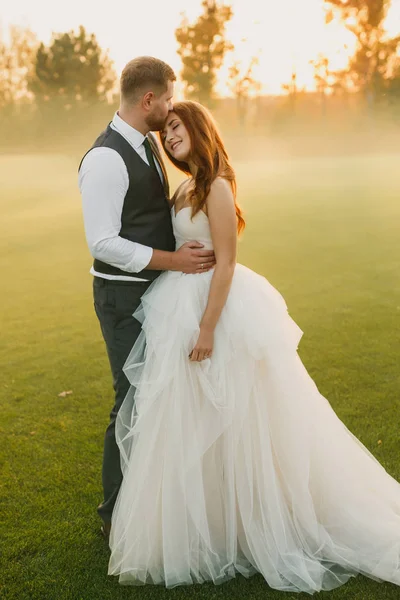 Красивая Свадебная Пара Обнимает Целует Фоне Зеленой Травы — стоковое фото