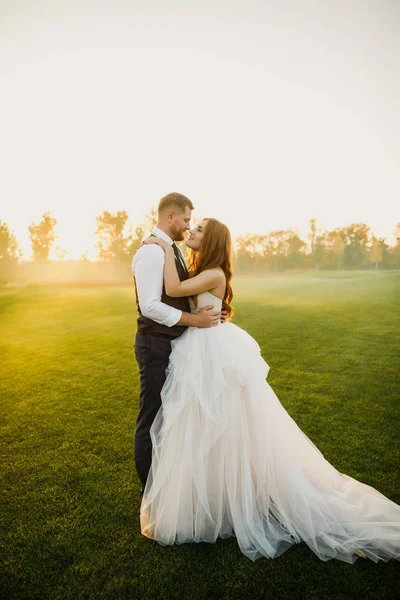 Wedding Couple Walking Field — Stock Photo, Image