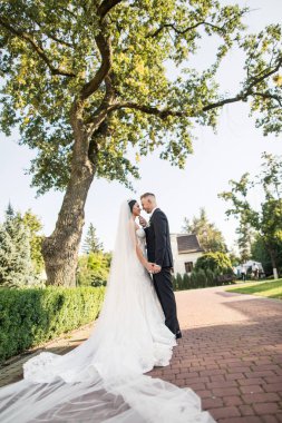 genç güzel düğün çift gelin ve damat parkta günbatımında ayaktadır ve gülümseyen güzel elbise damat gelini şık giyinmiş