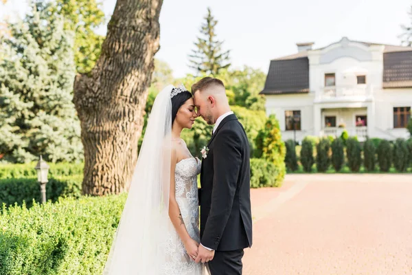 Fiatal Gyönyörű Esküvői Pár Menyasszony Vőlegény Állandó Parkban Naplemente Mosolygó — Stock Fotó