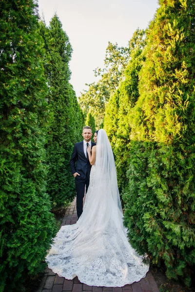 Fiatal Gyönyörű Esküvői Pár Menyasszony Vőlegény Állandó Parkban Naplemente Mosolygó — Stock Fotó