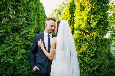 genç güzel düğün çift gelin ve damat parkta günbatımında ayaktadır ve gülümseyen güzel elbise damat gelini şık giyinmiş