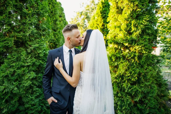 若い美しい結婚式のカップルの花嫁と花婿が夕暮れ公園に立っているし 美しいドレス新郎の笑顔の花嫁はスタイリッシュな服を着ています — ストック写真