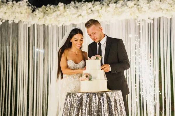 若い美しい結婚式のカップルの結婚式のケーキをカットし 楽しい時を過す — ストック写真