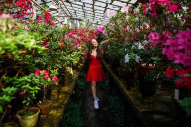 Çiçeklerle güzel bir botanik bahçede kırmızı bir elbise genç güzel esmer Portresi