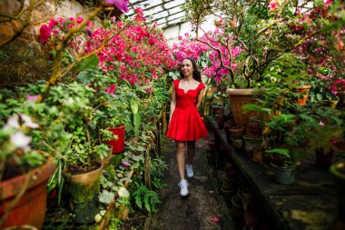 Çiçeklerle güzel bir botanik bahçede kırmızı bir elbise genç güzel esmer Portresi