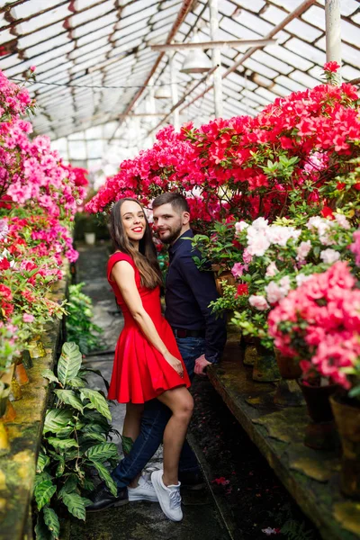 若いです美しいですカップルの女の子で赤いドレス男で青いシャツは花と庭に立つ — ストック写真