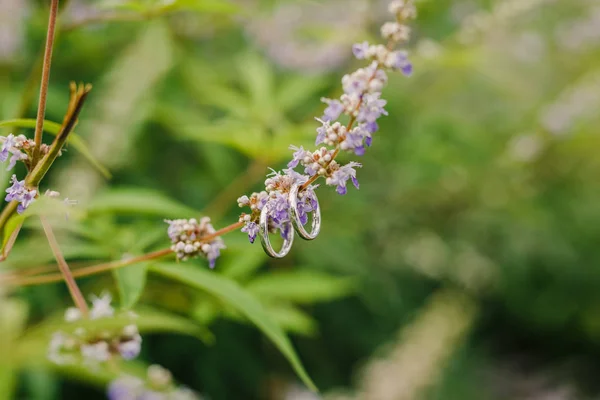 wedding rings hanging on plant with purple blooming flowers