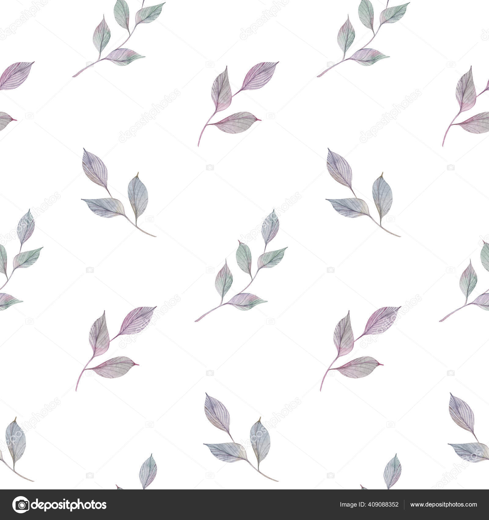 白色背景叶无缝花图案 水彩画手绘艺术 图库照片 C Nami S Mail Ru